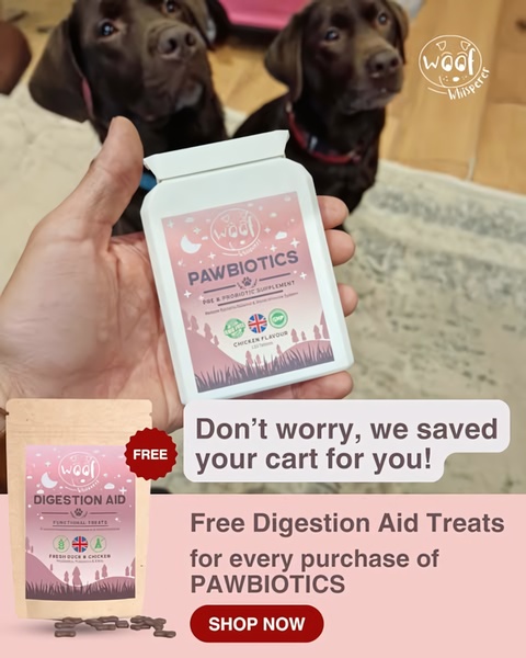 A 4:5 aspect ratio ad showing a pet owner holding a bottle of Pawbiotics with a clear call-to-action regarding a saved shopping cart and a free gift.